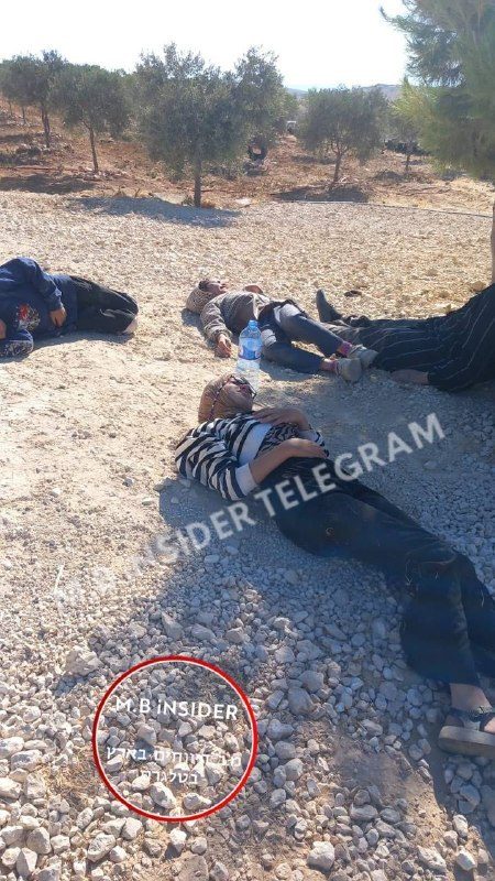 اعتداء مستوطنين على أفراد من عائلة الجبور في حوارة شرق يطا جنوب الخليل